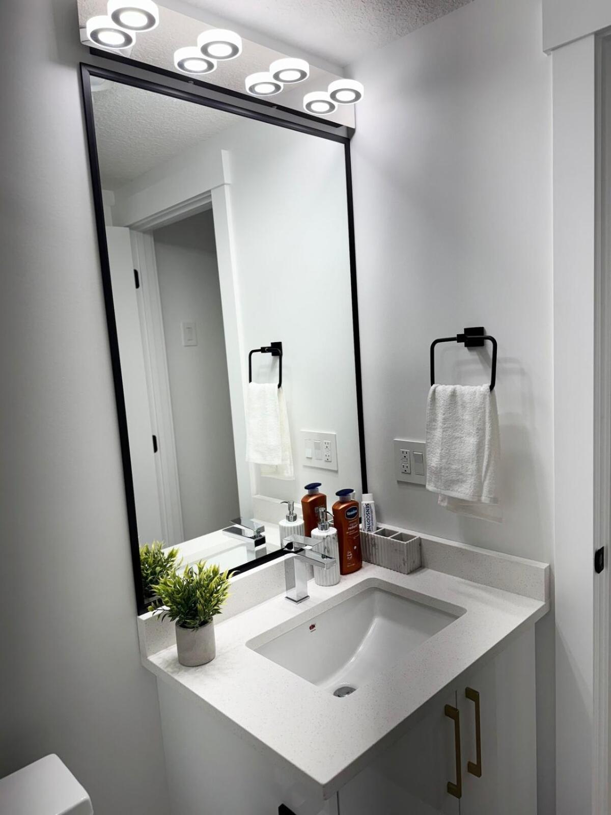 Charming Basement Edmonton